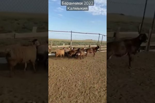 Как восстановить аккаунт на кракене