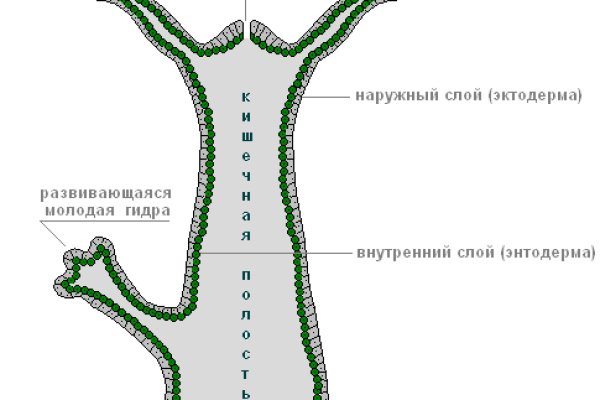 Что такое кракен сайт