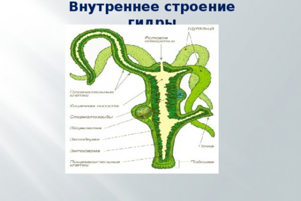 Ссылка кракен не работает